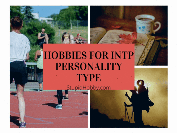 27 Hobbies For INTP Personality Type (For Introverts)