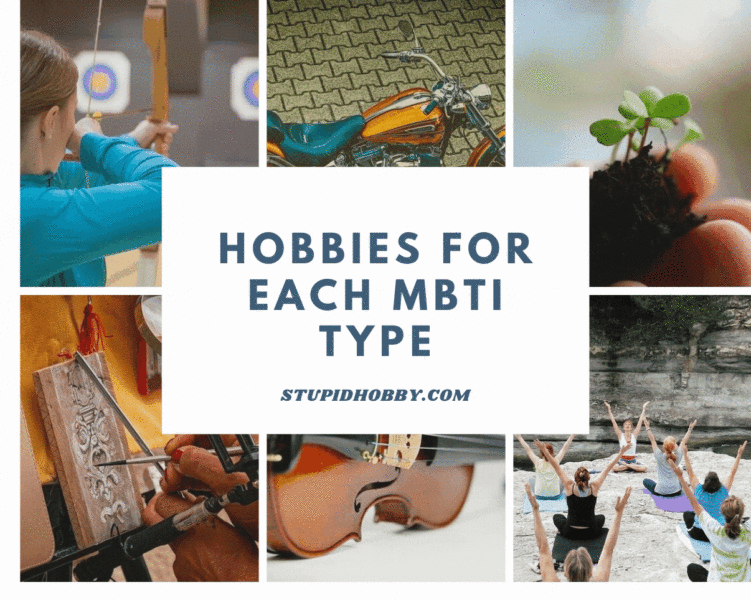 hobbies for each mbti type