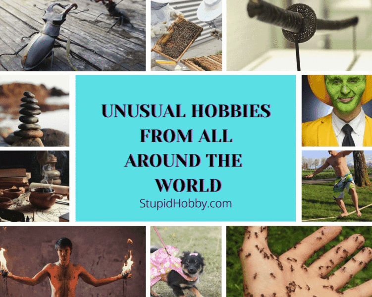 Unusual Hobbies: Unique Hobby Ideas For Unusual People
